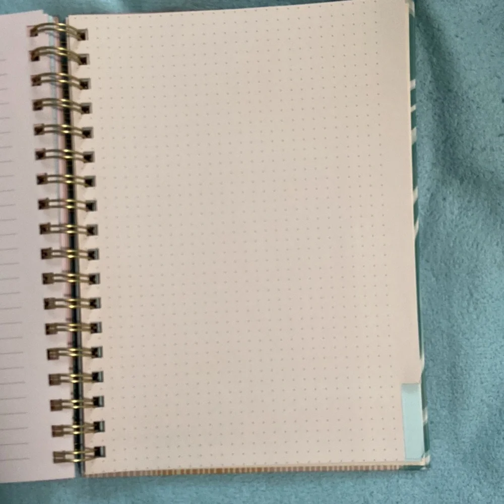 NWT 2 notebooks- 1 spiral ringed with paper tab sectioning and 1 bullet journal.